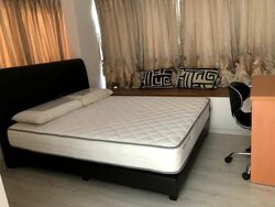 Alexis (D3), Apartment #556530681